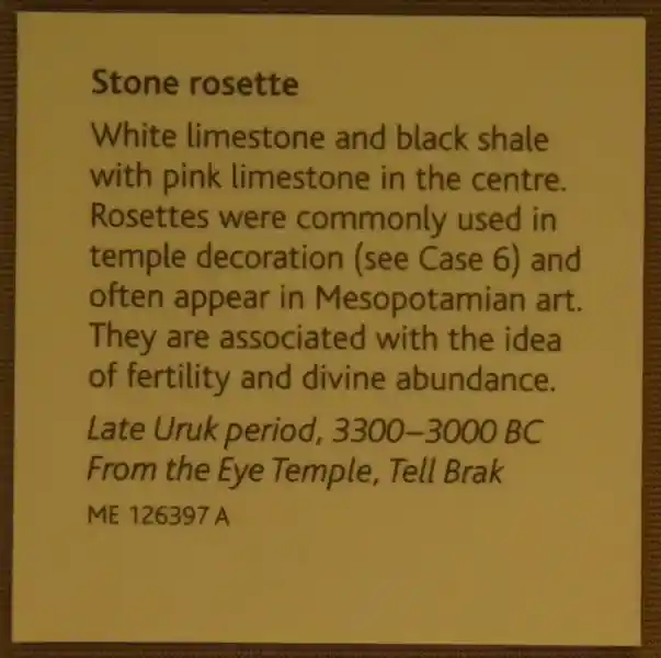 Two four-point crosses intersecting each other resembling flowers